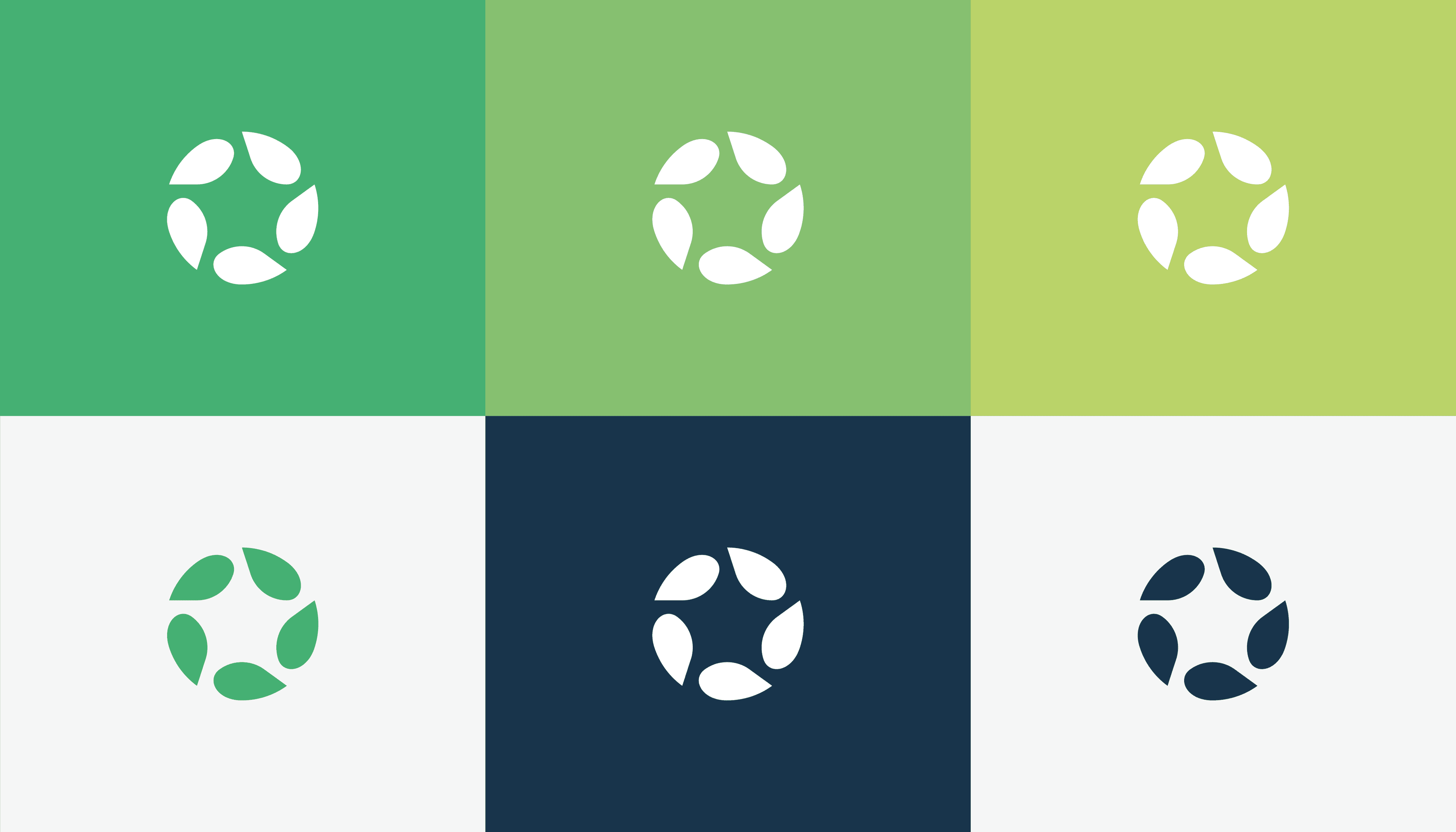Konstruktion und Proportionen der Carbonhalo-Wortmarke