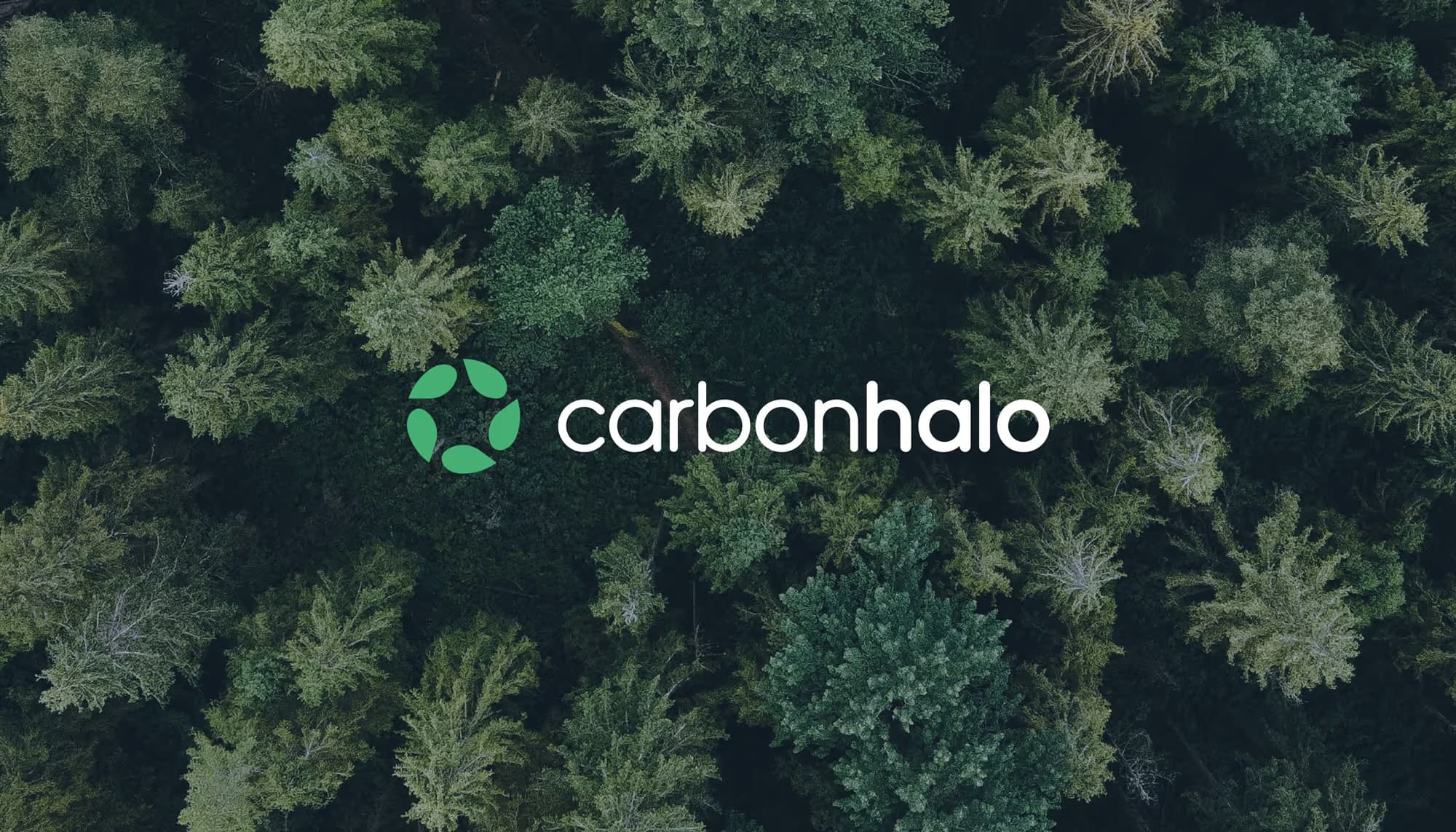 Carbonhalo 1