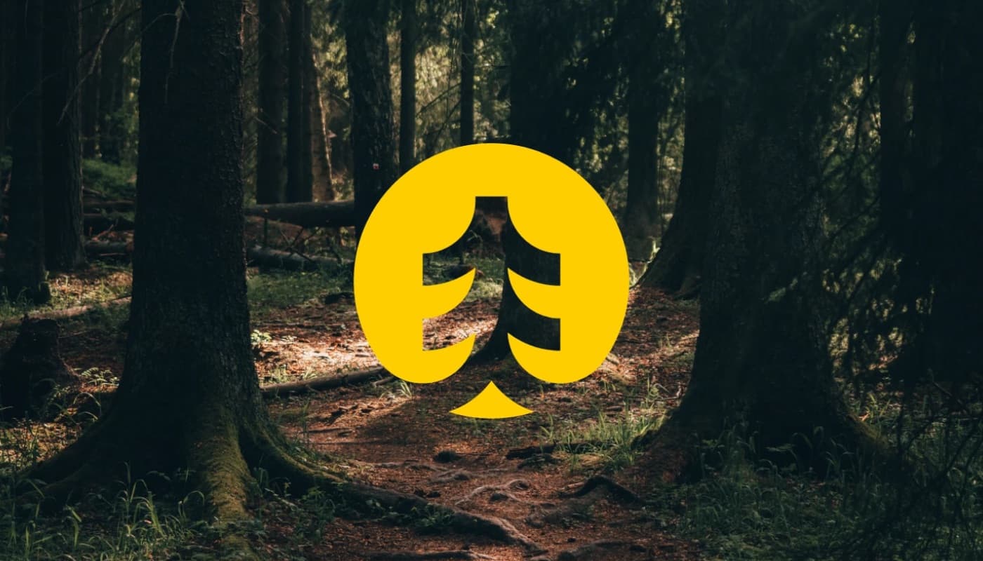 Gelbes Zeichen von MTB Collective mit stilisiertem Baum vor einem Waldweg